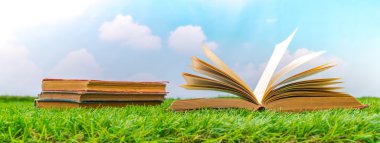 Katalog, dergi boş, sahte yeşil çimenlerin üzerinde kitap