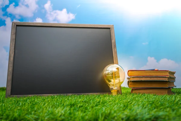 Blank black board and light bulb on grass field — Stock Photo, Image