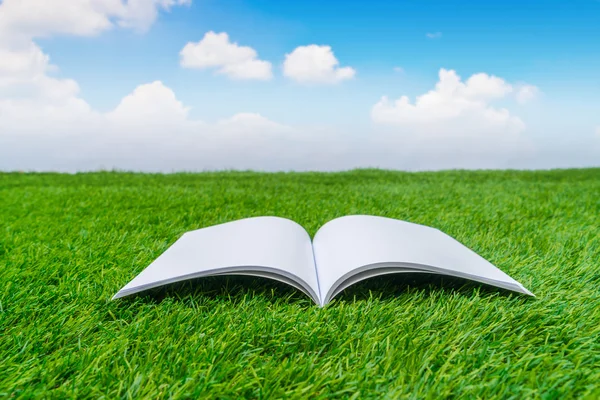 Lege catalogus, tijdschriften, boeken mock up op groen gras — Stockfoto