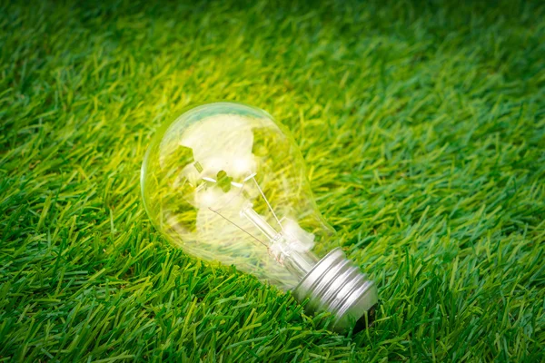 Conceito Eco - lâmpada crescer na grama — Fotografia de Stock