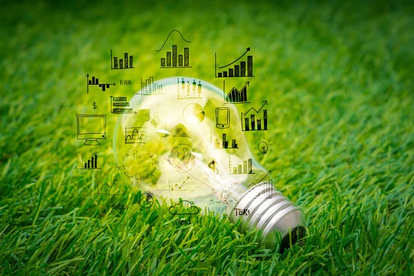 Лампочка растет в траве с бизнес-графиком — стоковое фото