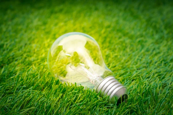 Eco concept - gloeilamp groeien in het gras — Stockfoto