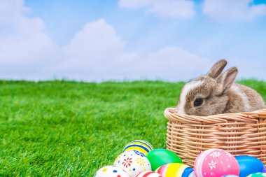 tavşan ve Paskalya yortusu yumurta