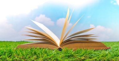 Katalog, dergi boş, sahte yeşil çimenlerin üzerinde kitap