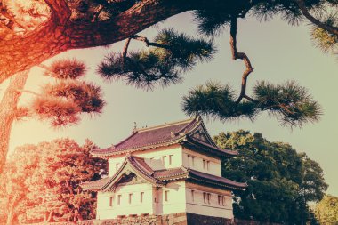 Tokyo'daki İmparatorluk Sarayı