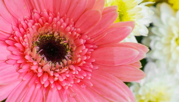 Beautiful wedding flowers — Stock Photo, Image