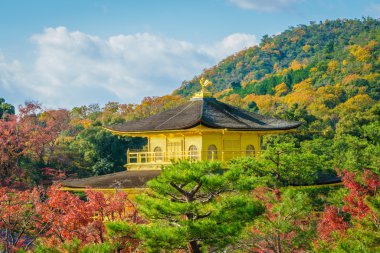 Kinkakuji Tapınağı Kyoto