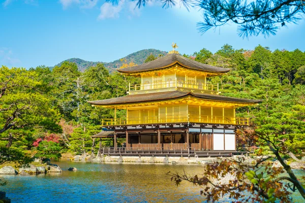 Kinkakuji Tapınağı Kyoto — Stok fotoğraf