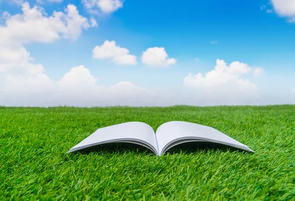 Blank catalog, magazines,book mock up on green grass — Stock Photo, Image