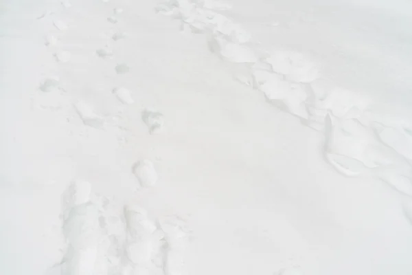 Footsteps on white snow — Stock Photo, Image