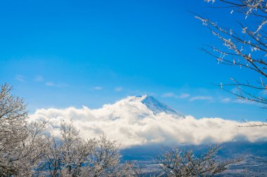 Dağ Fuji ağaçlar üzerinde buz kaplama ile