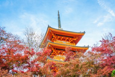 Güzel mimarisi Kiyomizu-dera Tapınağı, Kyoto, Japonya