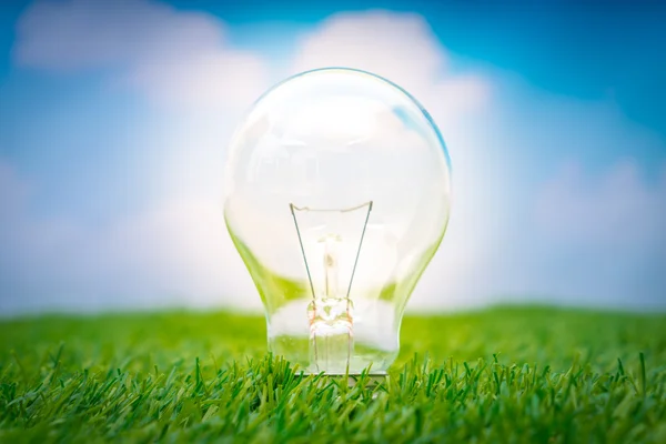 Eco concept - Glühbirne wächst im Gras vor blauem Himmel — Stockfoto