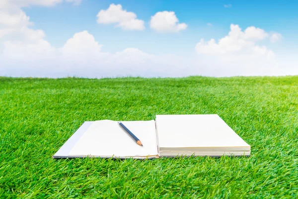 Ноутбук на весенней зеленой траве — стоковое фото