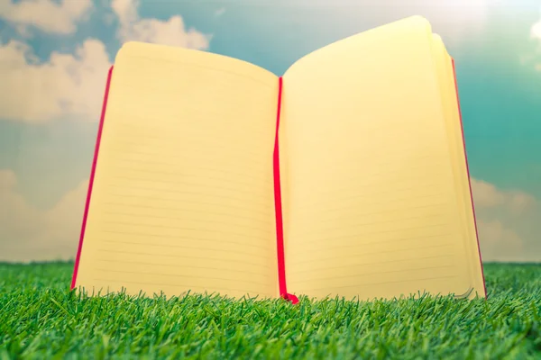 Notebook na trawa wiosna zielony — Zdjęcie stockowe
