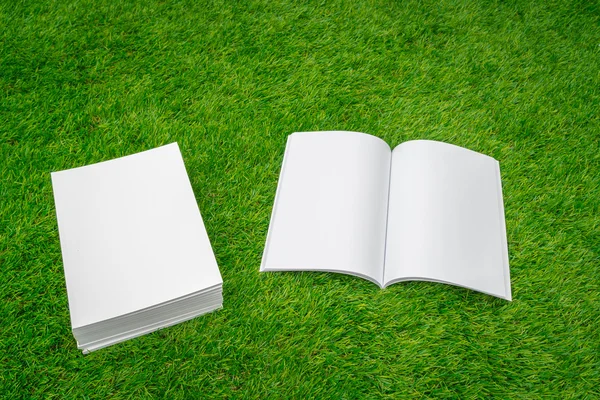 空白のカタログ、雑誌、緑の草の模擬本まで — ストック写真