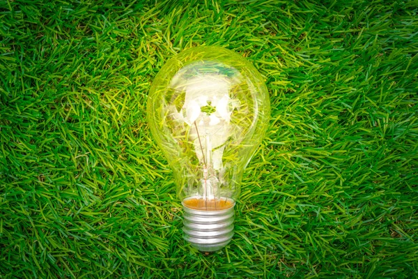 Eco koncept - glödlampa växa i gras — Stockfoto