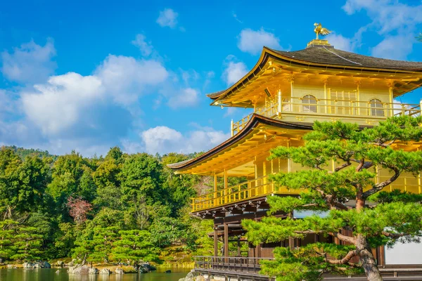 Kinkakuji Tapınağı Kyoto — Stok fotoğraf