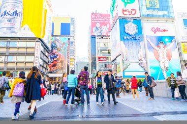 Osaka, Japonya - 30 Kasım 2015: Dotonbori eğlence distri