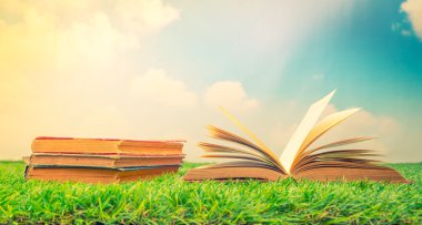 Katalog, dergi boş, sahte yeşil çimenlerin üzerinde kitap