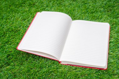 Defter bahar yeşil çimenlerin üzerinde