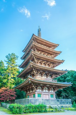 Recai-ji Tapınağı Güz, Kyoto, Japonya