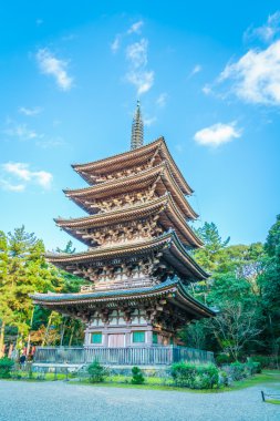 Recai-ji Tapınağı Güz, Kyoto, Japonya