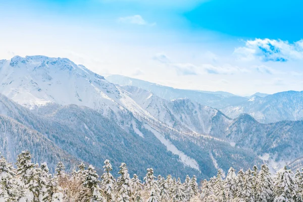 Japan Winter berg met sneeuw bedekte — Stockfoto