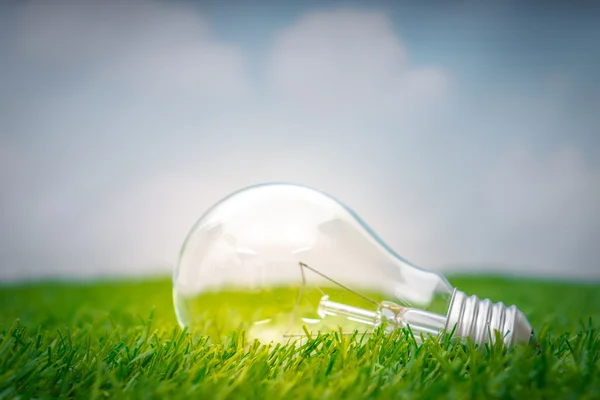 Eco concept - Glühbirne wächst im Gras vor blauem Himmel — Stockfoto