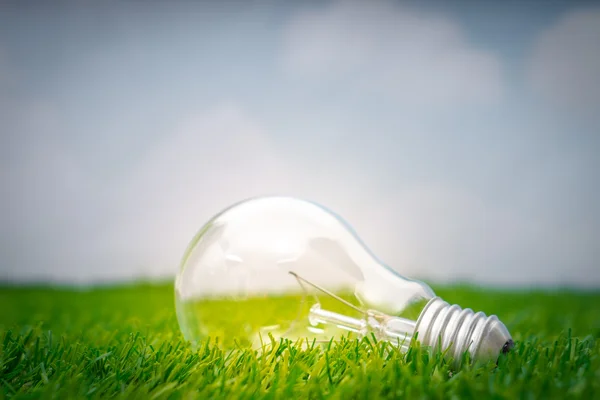 Eco concept - light bulb grow in the grass against blue sky — Stock Photo, Image