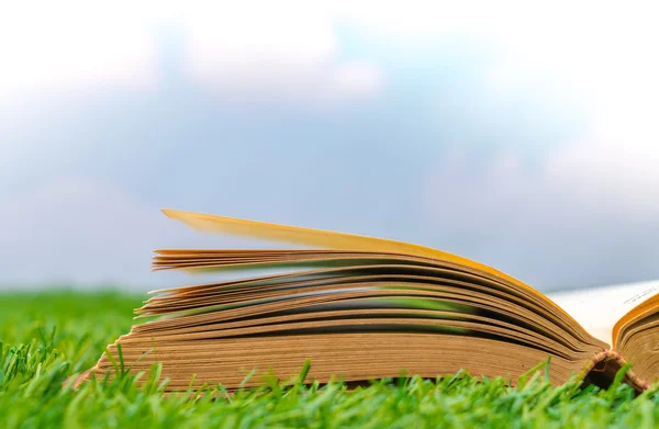 Lege catalogus, tijdschriften, boeken mock up op groen gras — Stockfoto