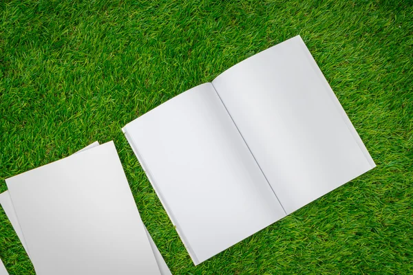 Pusty katalog, czasopisma, książki wykpić na zielonej trawie — Zdjęcie stockowe