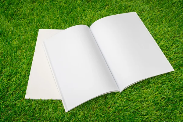 Leere Kataloge, Zeitschriften, Bücherattrappen auf grünem Gras — Stockfoto