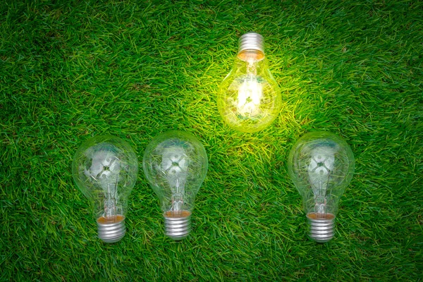 Eco concept - Glühbirne wächst im Gras — Stockfoto