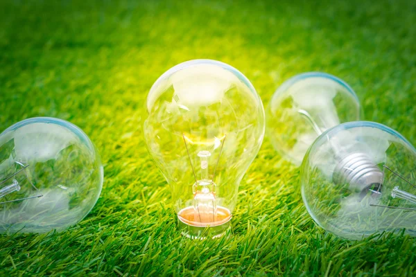 Eco concept - la lampadina cresce nel gras — Foto Stock