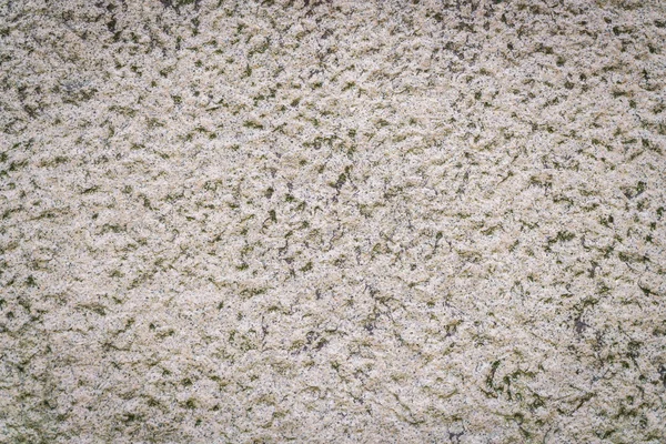 아름 다운 돌 담 — 스톡 사진