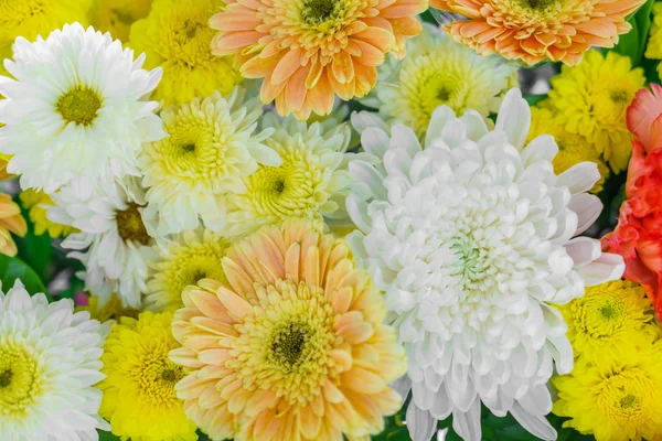 Vackra blommor för alla hjärtans och bröllop scen — Stockfoto
