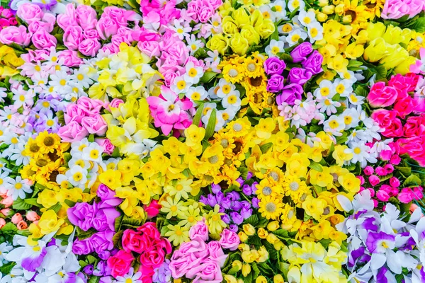 Flores coloridas e diferentes — Fotografia de Stock