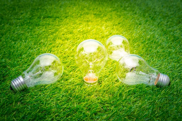 Conceito Eco - lâmpada cresce no gras — Fotografia de Stock