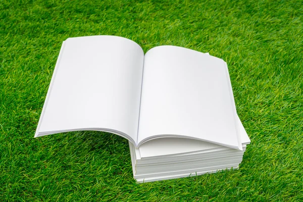 Leere Kataloge, Zeitschriften, Bücherattrappen auf grünem Gras — Stockfoto