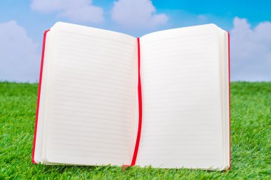 Defter bahar yeşil çimenlerin üzerinde