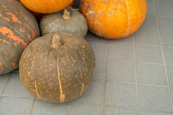 Pumpkin Background,High definition images — Stock Photo, Image