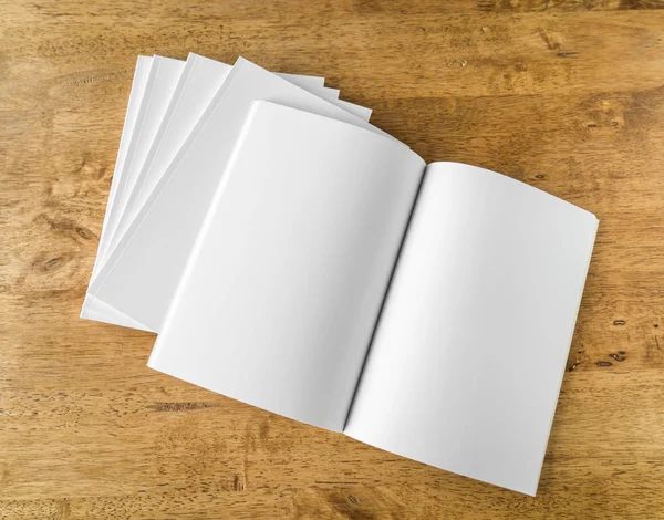 Pusty i biały broszury — Zdjęcie stockowe