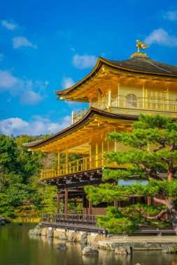 Kinkakuji Tapınağı 