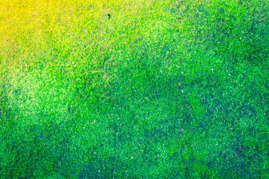 Taze bahar yeşil yosun (filtre uygulanmış görüntü işlenen vintage effe