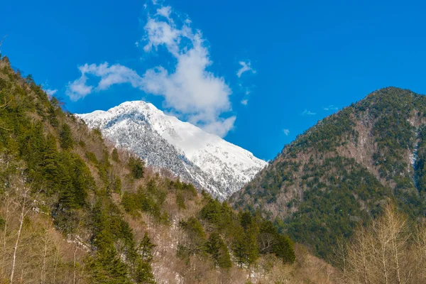 Japón Montaña de invierno, Imágenes de alta definición — Foto de Stock
