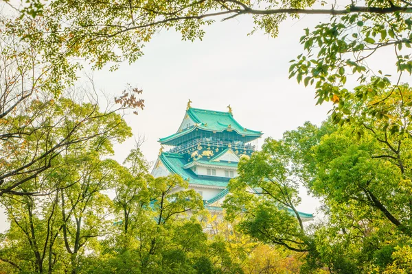 Osaka 'daki Osaka Kalesi — Stok fotoğraf