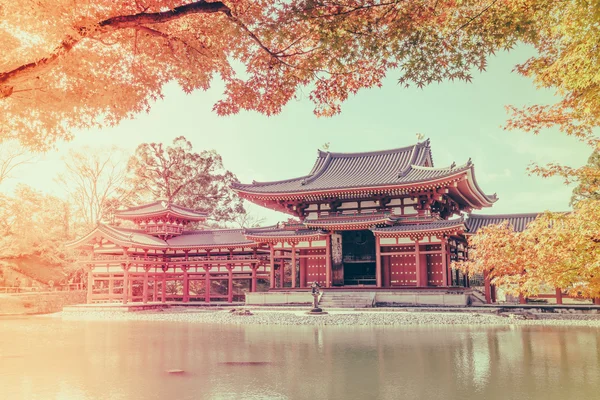 平等的寺庙，日本京都 （筛选图像处理老式 — 图库照片
