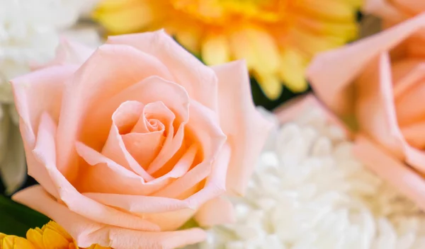 De belles fleurs pour les valentines et la scène de mariage — Photo