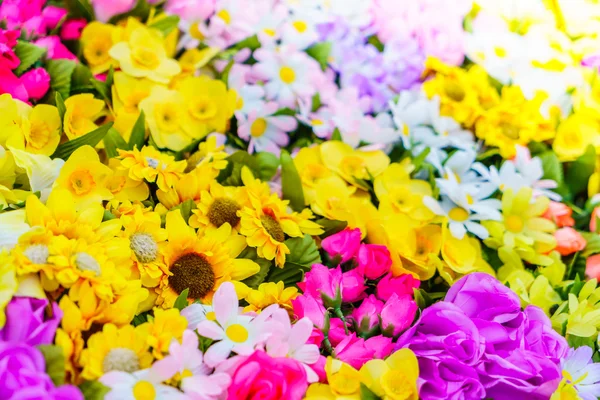 Colorful and different flowers — Stock Photo, Image